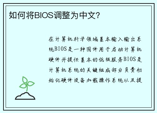 如何将BIOS调整为中文？