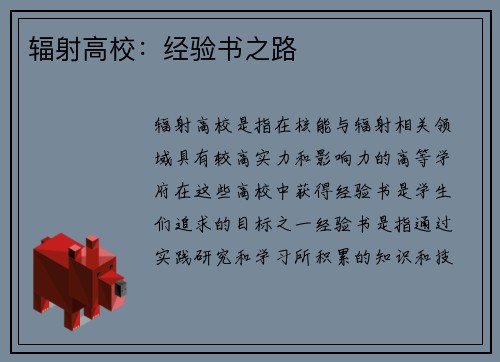 辐射高校：经验书之路